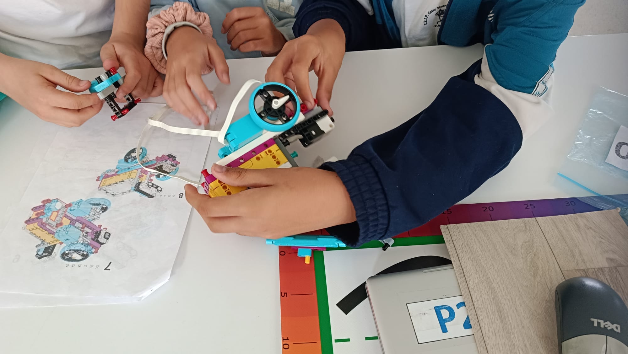 taller primaria