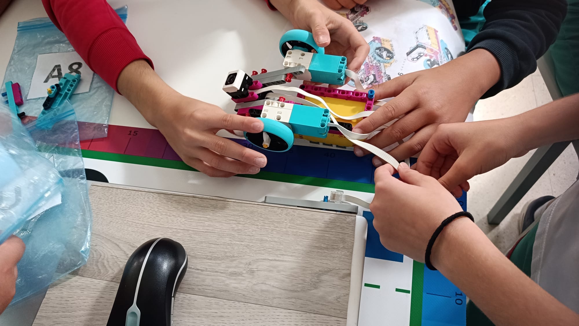 taller primaria
